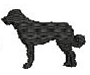 ANATOLIAN SHEPHERD DOG