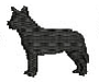 AUSTRALIAN CATTLE DOG