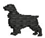 FIELD SPANIEL