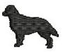 FLAT COATED RETRIEVER