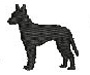 MANCHESTER TERRIER