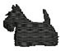 SCOTTISH TERRIER