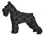 STANDARD SCHNAUZER