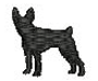 TOY FOX TERRIER