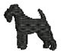 WELSH TERRIER