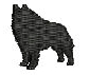 SCHIPPERKE